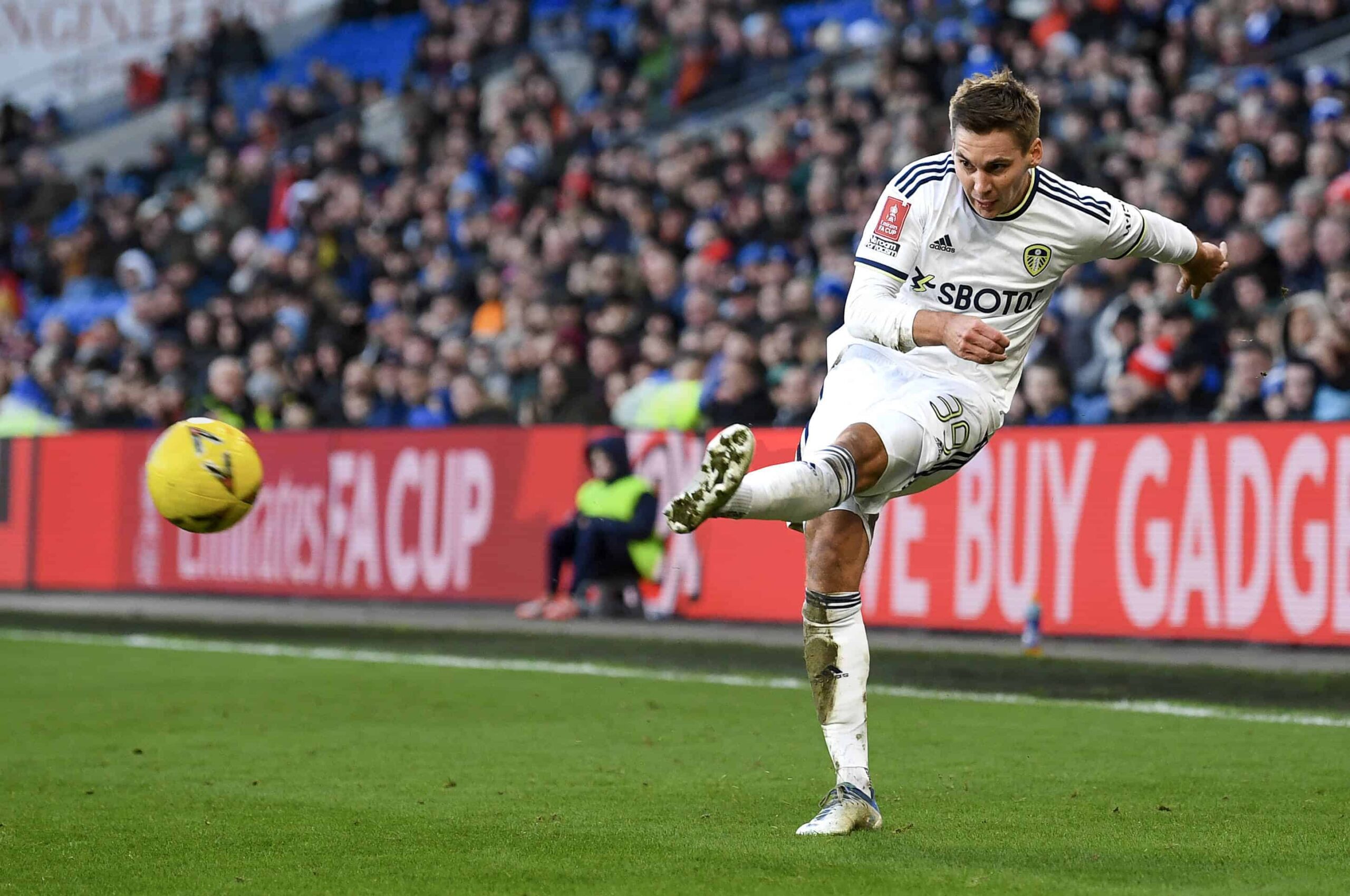 Vindu til begjær wober scaled